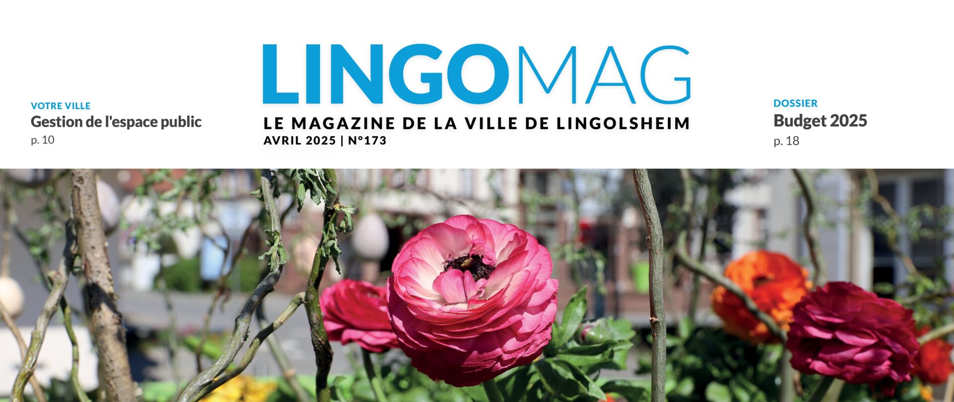 Le LINGOMAG 173 est disponible ! 
